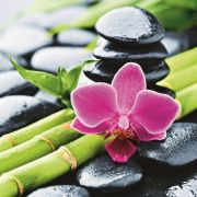 Штора для ванной BRIMIX Бамбук 1800*2000 мм 02-19